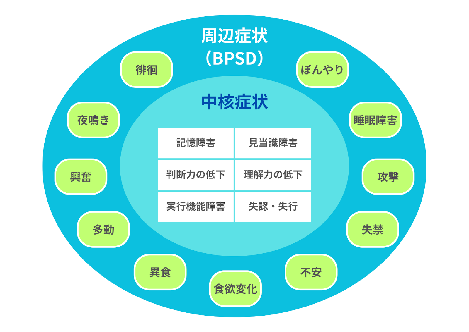 犬の認知症における中核症状と周辺症状（BPSD）の関係を示した図。中央に記憶障害・見当識障害・判断力や理解力の低下などの中核症状があり、周囲に夜鳴き、徘徊、不安、睡眠障害、攻撃性、食欲変化、異食、多動、興奮などの行動変化が配置されている。